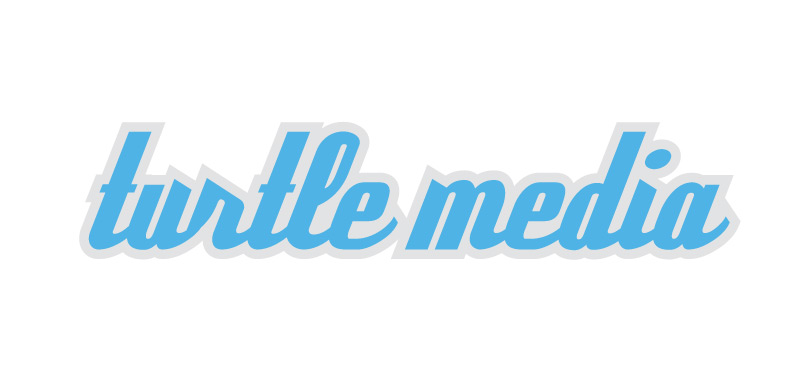 turtle media web design